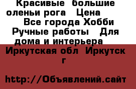 Красивые  большие оленьи рога › Цена ­ 3 000 - Все города Хобби. Ручные работы » Для дома и интерьера   . Иркутская обл.,Иркутск г.